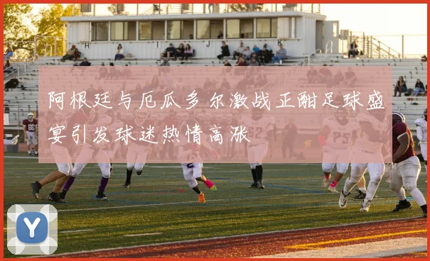 阿根廷与厄瓜多尔激战正酣足球盛宴引发球迷热情高涨