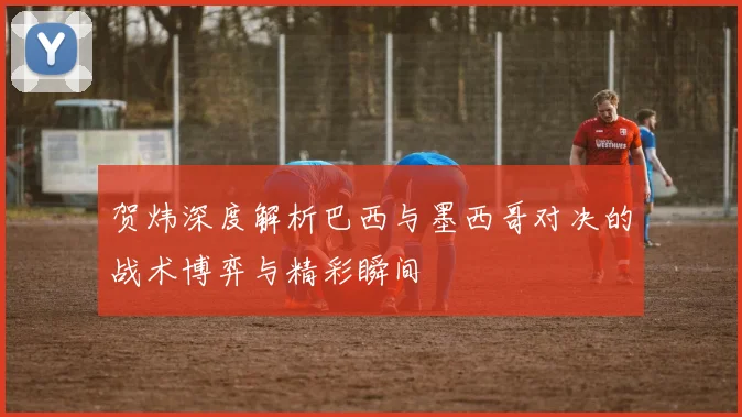 贺炜深度解析巴西与墨西哥对决的战术博弈与精彩瞬间