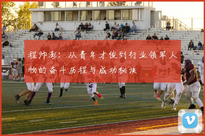 程帅澎：从青年才俊到行业领军人物的奋斗历程与成功秘诀