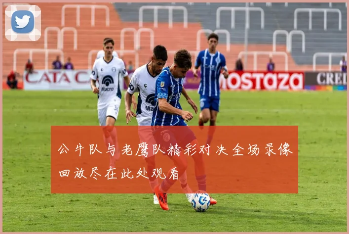 公牛队与老鹰队精彩对决全场录像回放尽在此处观看