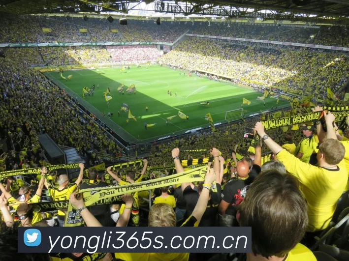 永利娱乐平台生态图