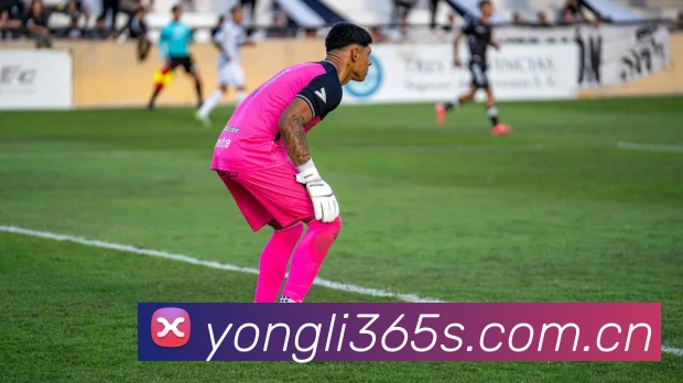 永利娱乐APP 封面图